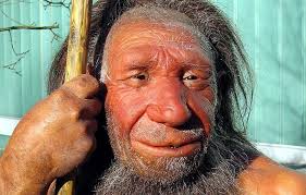 Wie viel prozent #neandertaler steckt wohl in #trump? Warum Neandertaler So Grosse Nasen Hatten Archaologie Derstandard De Wissen Und Gesellschaft
