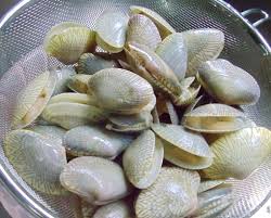 Mak cikmasak lambat sikit sbb tidur dulu. Cik Suka Taip Perbezaan Siput Lala Remis Sedut Dan Kupang