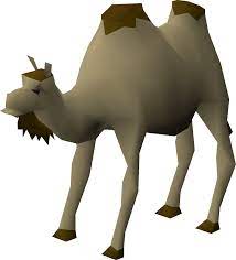 We can evaluate helm as alternative way to install the camel k operator, there are some old issues about that. Al The Camel Osrs Wiki