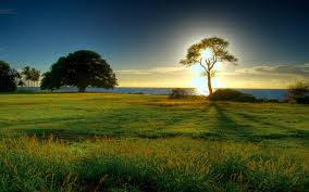 Sunshine wallpapers images and nature wallpaper sunshine. Good Morning Sunshine Nature Wallpapers And Backgrounds Landscape Desktop Backgrounds Windows 10 1920x1200 Wallpaper Teahub Io