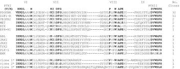 Tan tracks an index of global solar energy companies selected based on the revenue generated from solar related business. Psk A Novel Ste20 Like Kinase Derived From Prostatic Carcinoma That Activates The C Jun N Terminal Kinase Mitogen Activated Protein Kinase Pathway And Regulates Actin Cytoskeletal Organization Journal Of Biological Chemistry