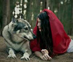 Lil Red And Wolf Red Riding Hood Wolf Red Riding Hood Wolf Pictures