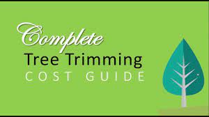 Tree Trimming Cost Guide Tree Trimming Cost Tree Trimming Tree Pruning