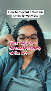 #stitch with @Dr. Rami Awwad (vet)🐶🐱 how to handle vet visits for anxious  or spicy kitties #veterinarian #vet #petsoftiktok #catsoftiktok #cats  #vetmed #vetlife #pets #veteducation #medicine ...