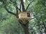 Easy Simple Tree House Designs