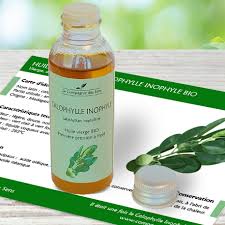 Huile Vegetale De Calophylle Inophyle Bio Compagnie Des Sens Huile Vegetale Huile De Calophylle Huile De Tamanu
