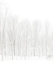 Touch device users, explore by touch or with swipe gestures. Winter White Out By Karol Livote White Aesthetic Winter Aesthetic Winter White