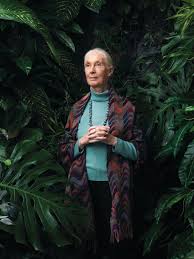 Jane goodall, dbe, founder of the jane goodall institute & un messenger of peace can draw a crowd. Jane Goodall Talks Hope Her New Book And Why The Kids Are Alright Tatler Thailand
