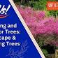 Choosing and Caring for Trees: Landscape  event image