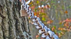 We did not find results for: Chain Lock Gate Nature Tree Wood Outdoors Iron Perspective Blurry Bokeh Pikist
