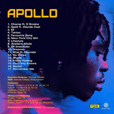 We totally enjoy the vibe and energy on this new single and think it's a potential hit single. Fireboy Dml Release Tracklist Art Cover For Apollo Album 36vibes