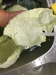 Come friggere senza olio per avere una frittura leggera e a basso contenuto di grassi senza utilizzare olio e burro possiamo impiegare il glucosio in polvere , uno zucchero naturale estratto dall'uva che fonde tra i 160 °c e i 190°c senza diventare caramello. Verza In Salamoia
