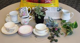 See how the type of teacup you choose makes a huge difference in the feel of the final project? Grow A Teacup Garden My Garden Life