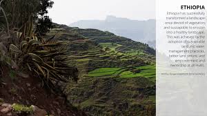 You don't have to bring cash. World Bank Africa Organization Facebook