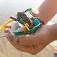 Plastic Pollution - Plastic Solutions event image