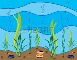 Aquarium Dessin Banque D Images Vecteurs Et Illustrations Libres De Droits Paysage Sous Marin Dessin Technique De Peinture