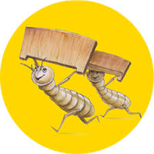 Organic or herbal pest control methods, on the other hand. Herbal Pest Control In Wakad Ganraj Herbal Pest Control