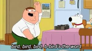 Bird Is The Word Gif With Sound Https Encrypted Tbn0 Gstatic Com Images Q Tbn 3aand9gcrpdrbo8qprrspehmvjyogsjka Q4err7jfkw Usqp Cau