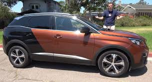 Image result for Brown Squirrel 2014 Peugeot