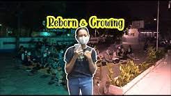 Gereja katolik santa perawan maria fatima, sragen kabupaten sragen, jawa tengah. Paroki Santa Perawan Maria Di Fatima Sragen Youtube