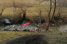 Informaţii de contact, telefon, adresă. Foto Pet Uri Gunoaie Si Crengi BlocheazÄ Ronisoara In Zona Muzeului Satului Din Sighetu MarmaÅ£iei Stiri Din Maramures Vasile Dale