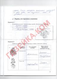 математика 2 класс бененсон итина рабочая тетрадь 2 ответы Matematika 2 Klass Benenson Itina Rabochaya Tetrad 2 Str Kerbal Space Program Literature Space Program
