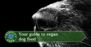 Now readingthe pegan diet is trending (and here are 20 recipes you can make for dinner). What Are The Best Vegan Dog Foods Kindly Geek