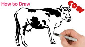 Learn how to draw cattle simply by following the steps outlined in our video lessons. How To Draw A Cow Easy Drawing Step By Step Youtube