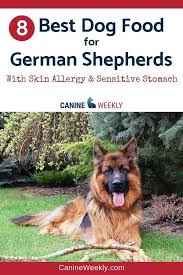 Pin On Dog Nutrition