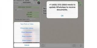 3 cara mengirimkan surat lamaran lewat email dreambegins temukan. Whatsapp Sudah Bisa Kirim Dokumen Begini Caranya