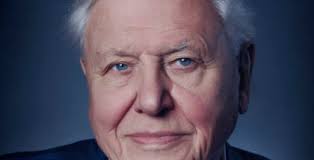 Netflix and BBC lead 2021 Grierson award winners