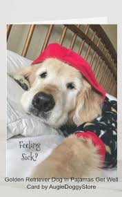 Golden Retriever Dog In Pajamas Get Well Card Zazzle Com Golden Retriever Retriever Dog Dogs Golden Retriever