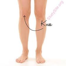 English To Nepali Dictionary Meaning Of Knee In Nepali Is घ ड ग ड घ ड प ल