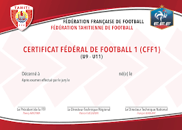 Ce livret a été fait pour vous guider et vous accompagner dans les grandes étapes de votre stage au sein de la ville de la courneuve. Diplomes D Entraineurs Un Dispositif Simplifie Ftf Pf