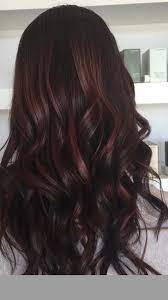 Don't color your eyebrows red because. Pin By Jill On Hair And Makeup Hair Color Brown Chestnut Chestnut Brown Hair Hair Color Chocolate