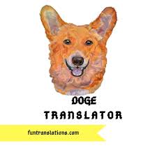 Doge wallpapers top free doge backgrounds wallpaperaccess. Doge Translator Api