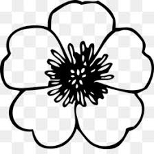 Black and white devnet tools. Black And White Flower Png Download 600 600 Free Transparent Flower Png Download Cleanpng Kisspng