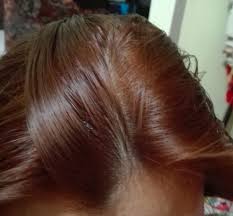 Formulated with tsubaki oil for hair treatment care. Review Palty And Lolane Hair Dyes Thingsaxia