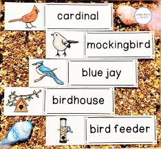 Bird Bird Bird Is The Word Bird Word Wall Cards In 2020 Word Wall Cards Word Wall Cards