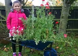 If you're sowing in autumn, you only need to water your seeds once and then leave them over winter, when the seeds will be dormant. How To Plant Wildflower Seeds In A Container Or Wheelbarrow
