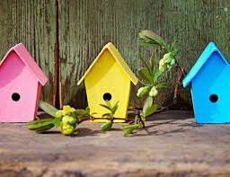 Best Dimensions For Birdhouse Entrance Holes