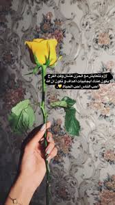 pin by ن ج م ه on writings quotes about photography love smile quotes iphone wallpaper quotes love