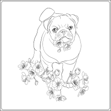 Even though each species has its own distinct looks and characteristics. Dog Coloring Pages Free Printable Coloring Pages Of Dogs For Dog Lovers Of All Ages Printables 30seconds Mom