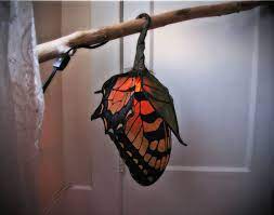 They feed on the nectar of a wide variety of flowers, including the when the moment arrives for you to release them, all you need to do is simply give the box a very light shake to motivate the butterflies, and lift the lid. This Is The Moment A Swallowtail Butterfly Emerges From Its Chrysalis Ready To Greet The World With Its Beauty Sc Butterfly Lamp Hanging Lights Beautiful Lamp