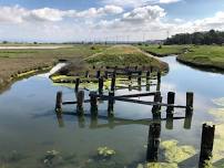 Ballona Wetlands