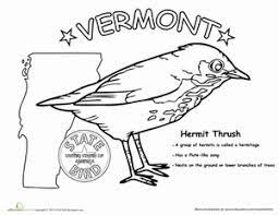 These printable sheets print crisp and clear. Vermont State Bird Worksheet Education Com State Birds Vermont Education Com