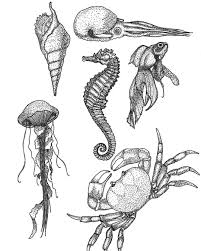 Art Tttism Blxckink Onlyblackart Darkartists Blackink Dotworkers Blackworkers Madamebathor Jellyfish Drawing Jellyfish Painting Jellyfish Illustration