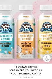 10 Vegan Coffee Creamers You Need In Your Morning Cuppa Vegan Coffee Creamer Vegan Creamer Dairy Free Coffee