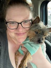 Lost Silky Terrier Dog in Portland, OR, Metropolitan Area