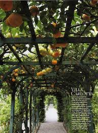 Unlike regular fruit trees, dwarf fruit trees will only grow to be about 8 ft tall. Photo Sharing Dream Garden Garden Design Garden Inspiration
